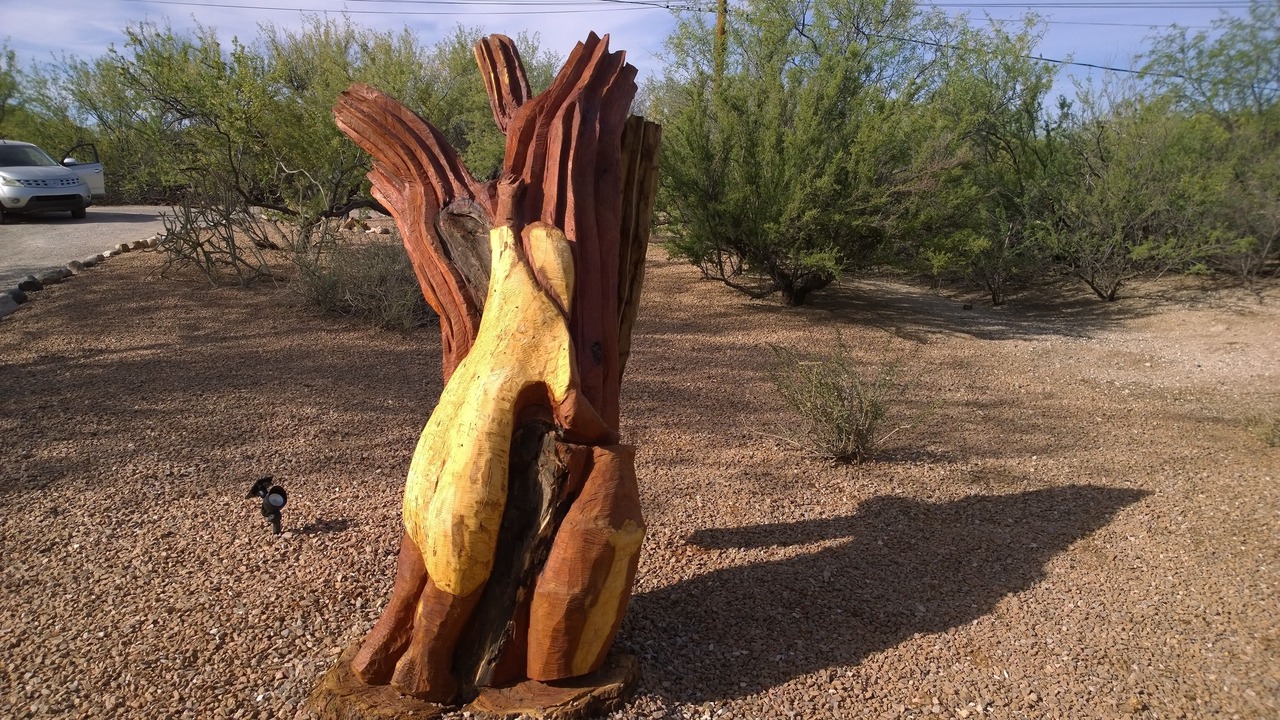 Photo of Others in Tanque Verde
