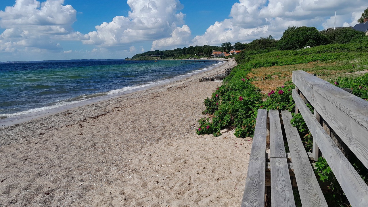 Photo of Others in Hejsager Strand