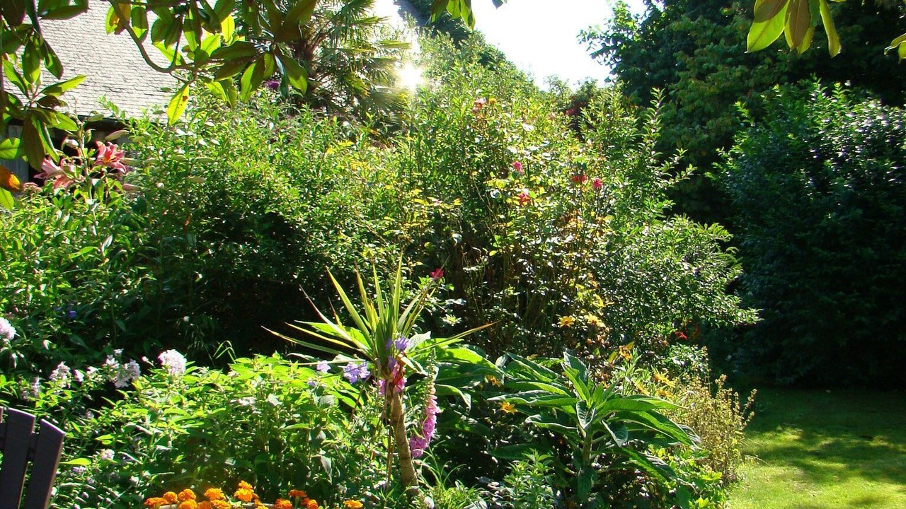 Photo of Outdoor in Saint-Donan