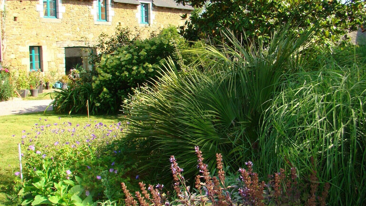 Photo of Outdoor in Saint-Donan