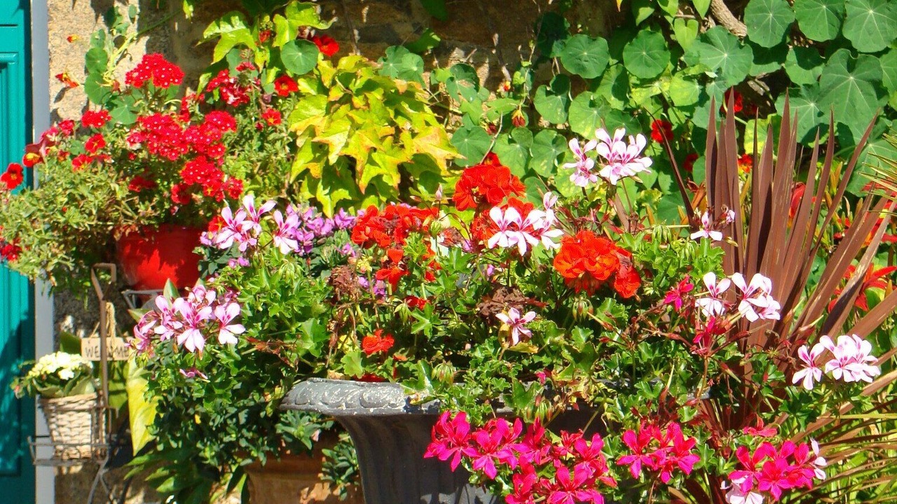 Photo of Outdoor in Saint-Donan