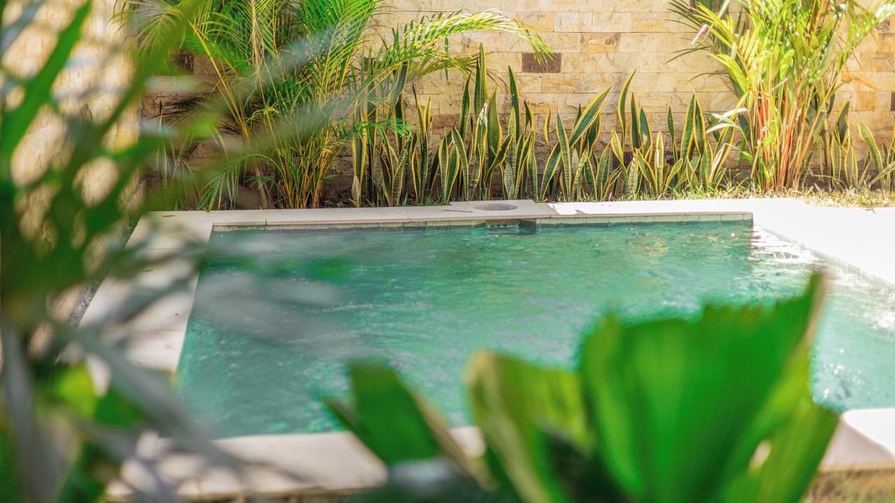 Photo of Outdoor in Senggigi