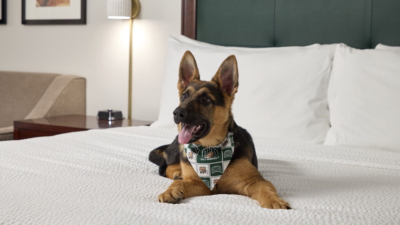 Photo of Others in Athens