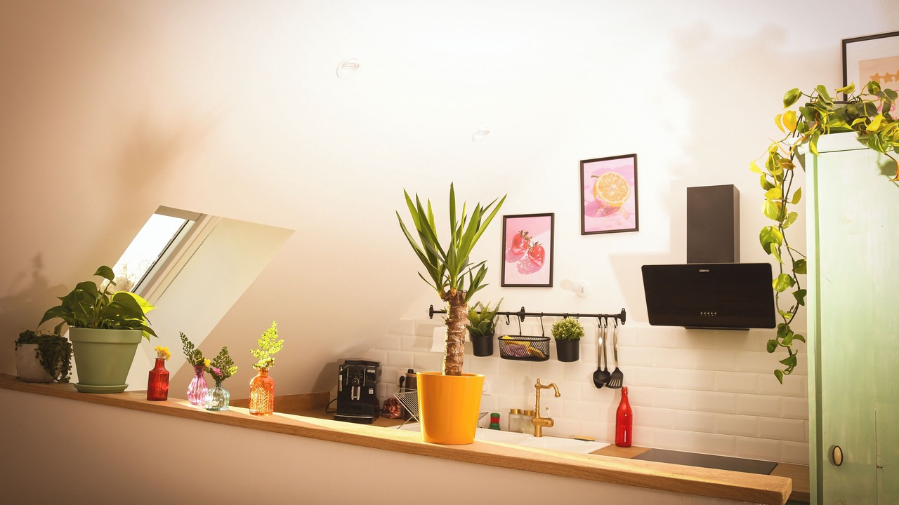 Photo of Others in Saint-Pourcain-sur-Sioule
