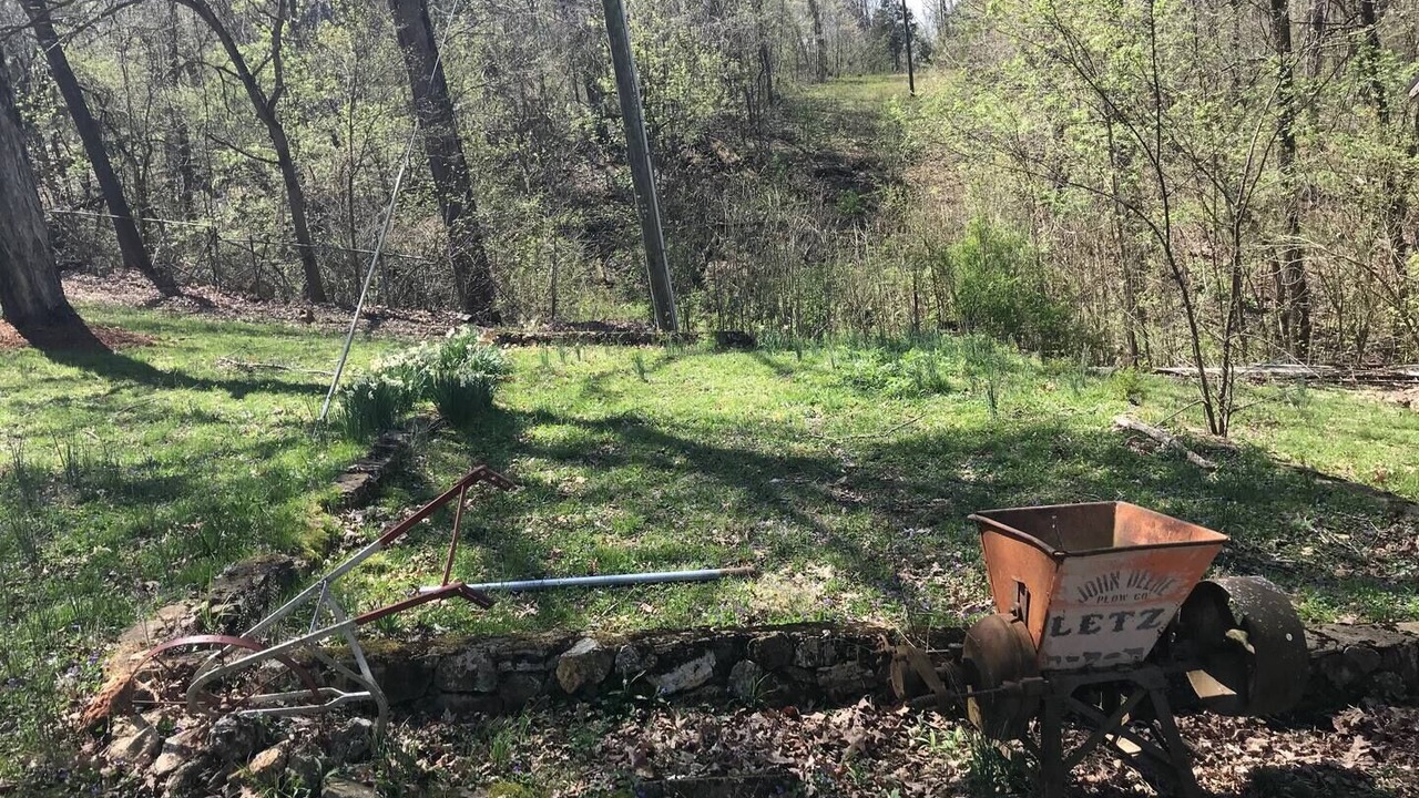 Photo of Outdoor in Steelville