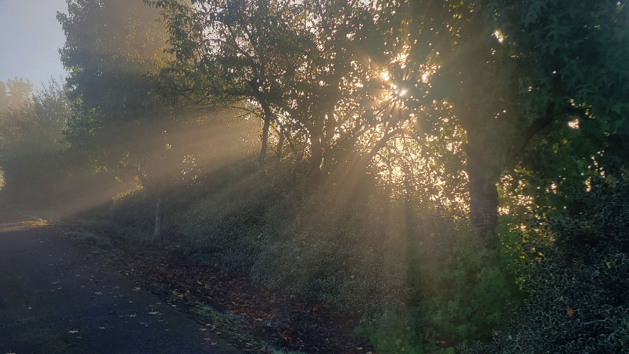 Photo of Others in Silverton