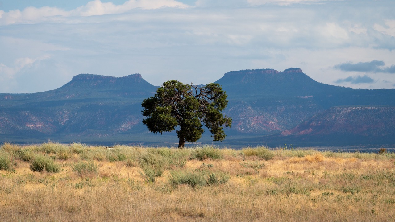 Photo of Others in San Juan County