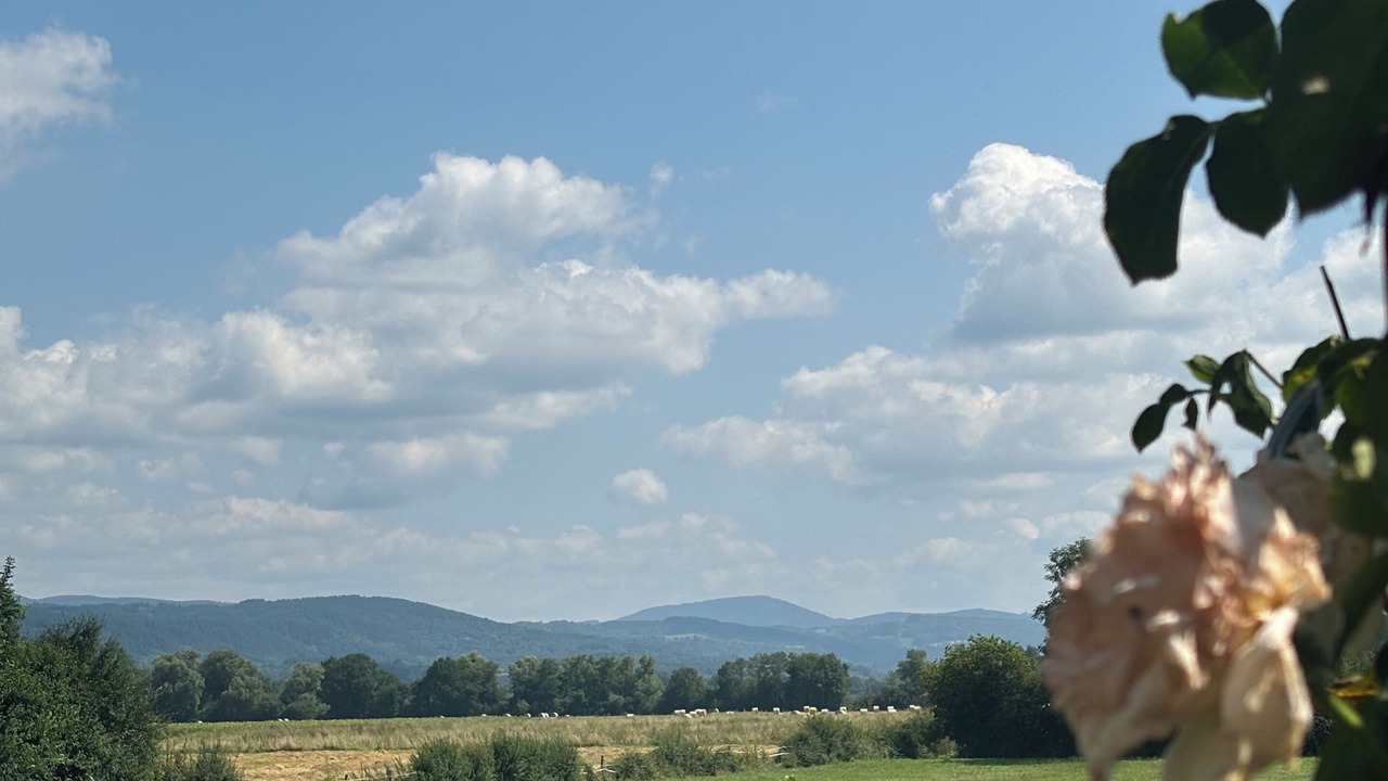 Photo of Outdoor in Saint-Priest-Bramefant