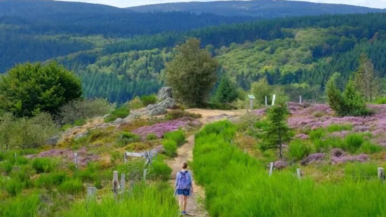 Photo of Others in Saint-Priest-Bramefant