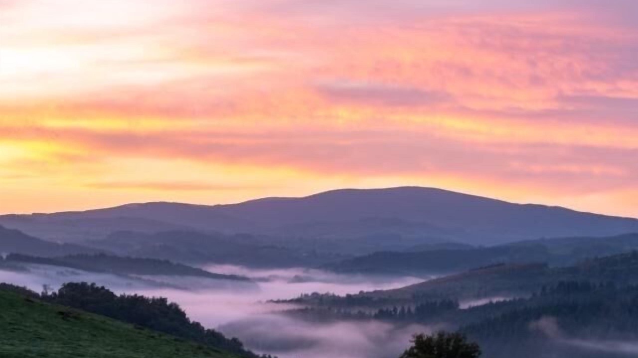 Photo of Others in Saint-Priest-Bramefant