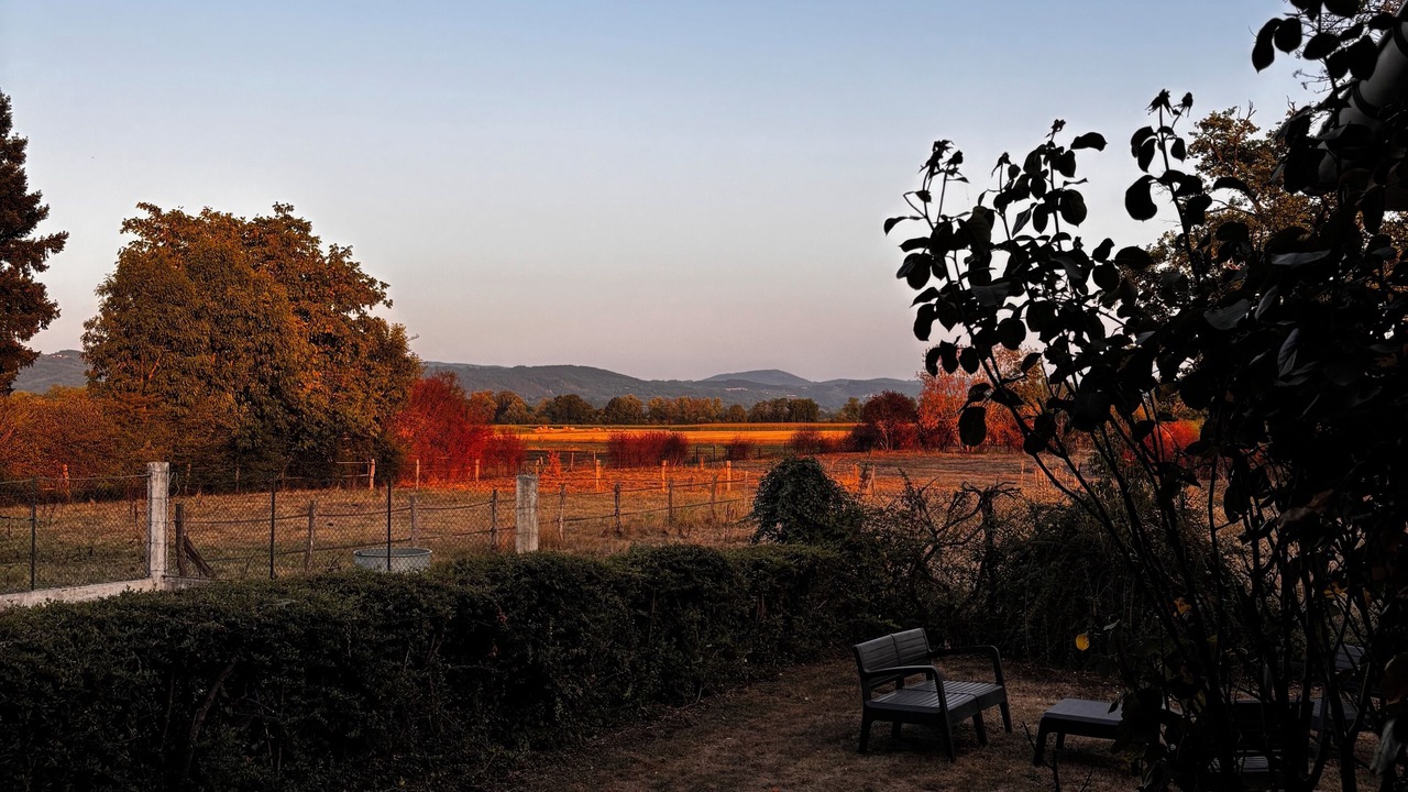 Photo of Outdoor in Saint-Priest-Bramefant