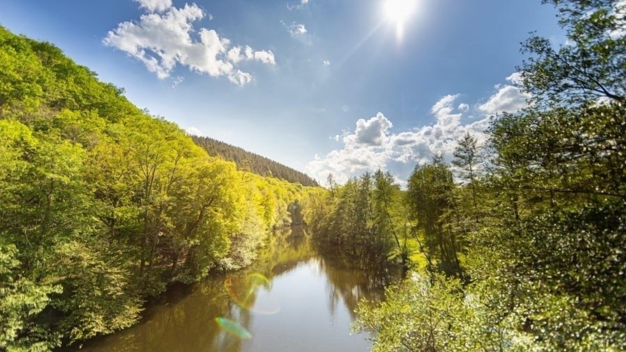 Photo of Others in Saint-Priest-Bramefant