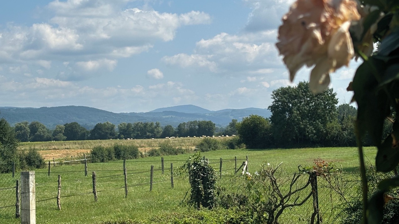Photo of Outdoor in Saint-Priest-Bramefant