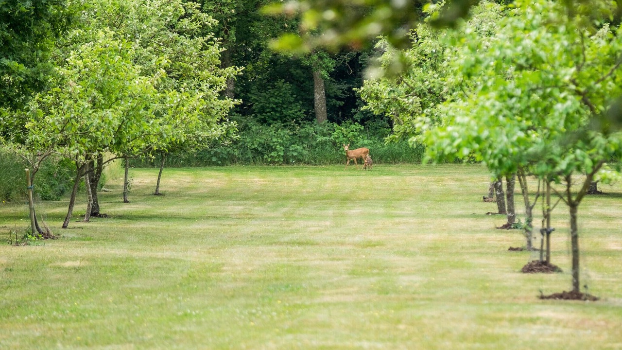 Photo of Others in Napstjaert