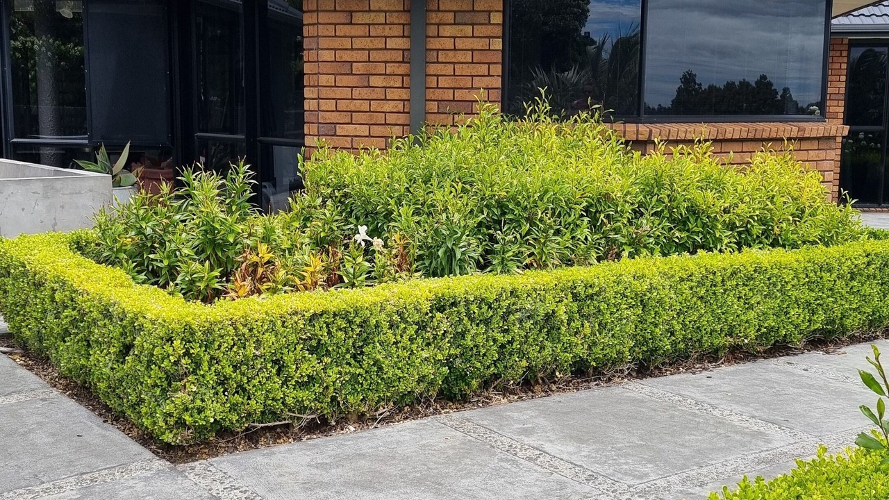 Photo of Outdoor in Bell Block