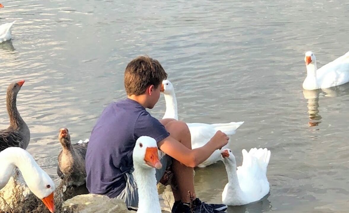 Photo of Others in Derby
