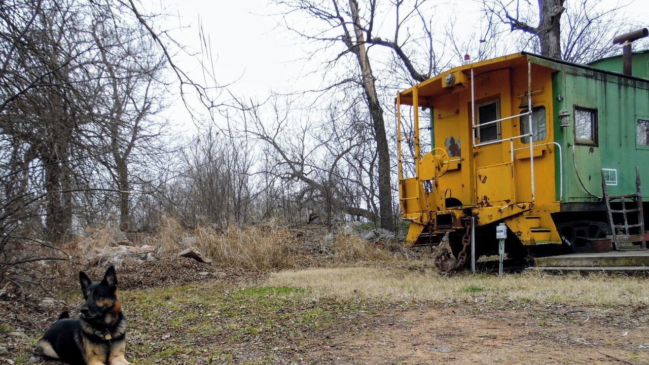 Photo of Outdoor in Lexington