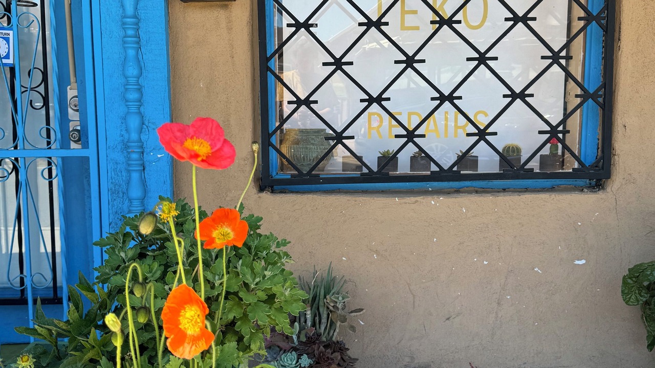 Photo of Outdoor in West Old Town