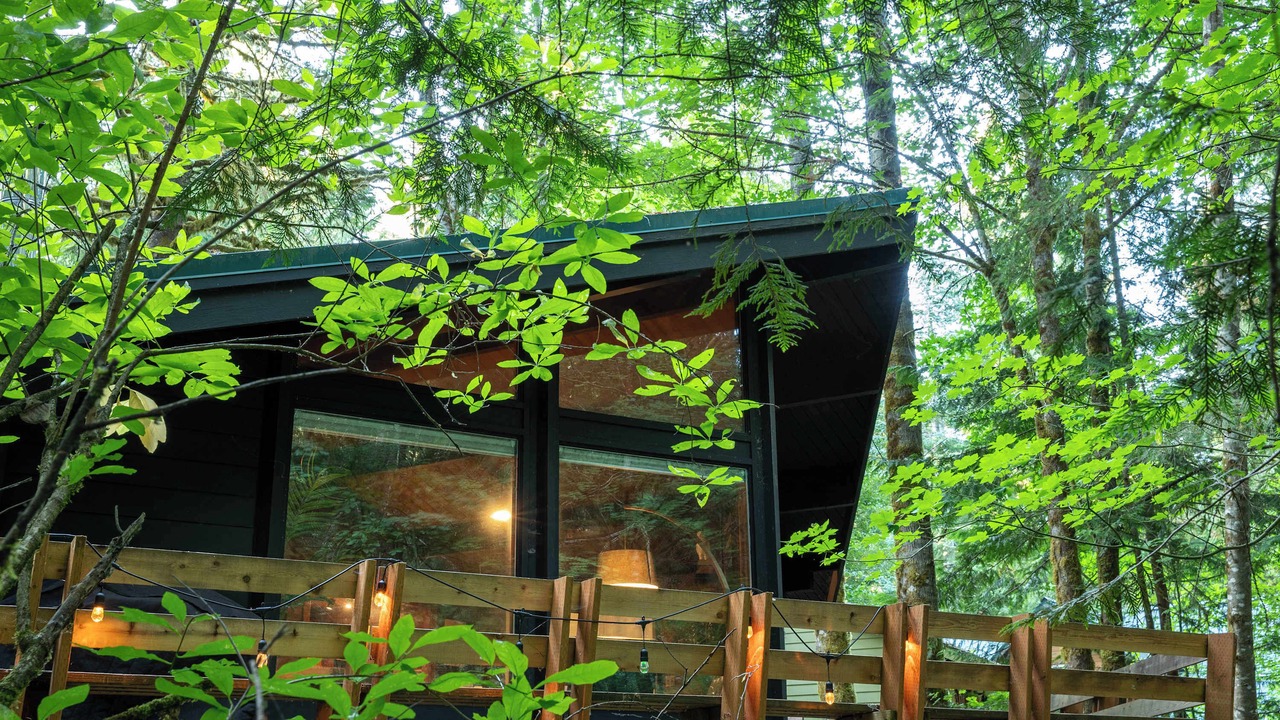 Photo of Outdoor in Rhododendron