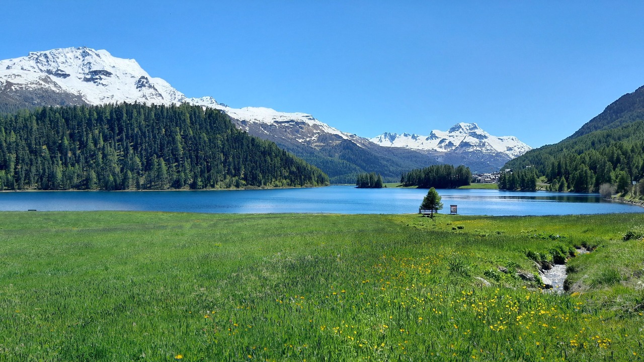 Photo of Others in Champfer