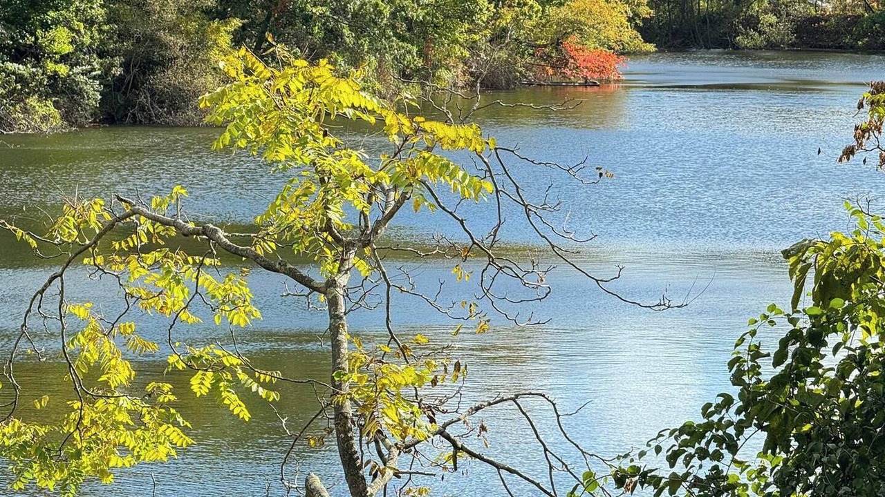 Photo of Outdoor in Bethpage