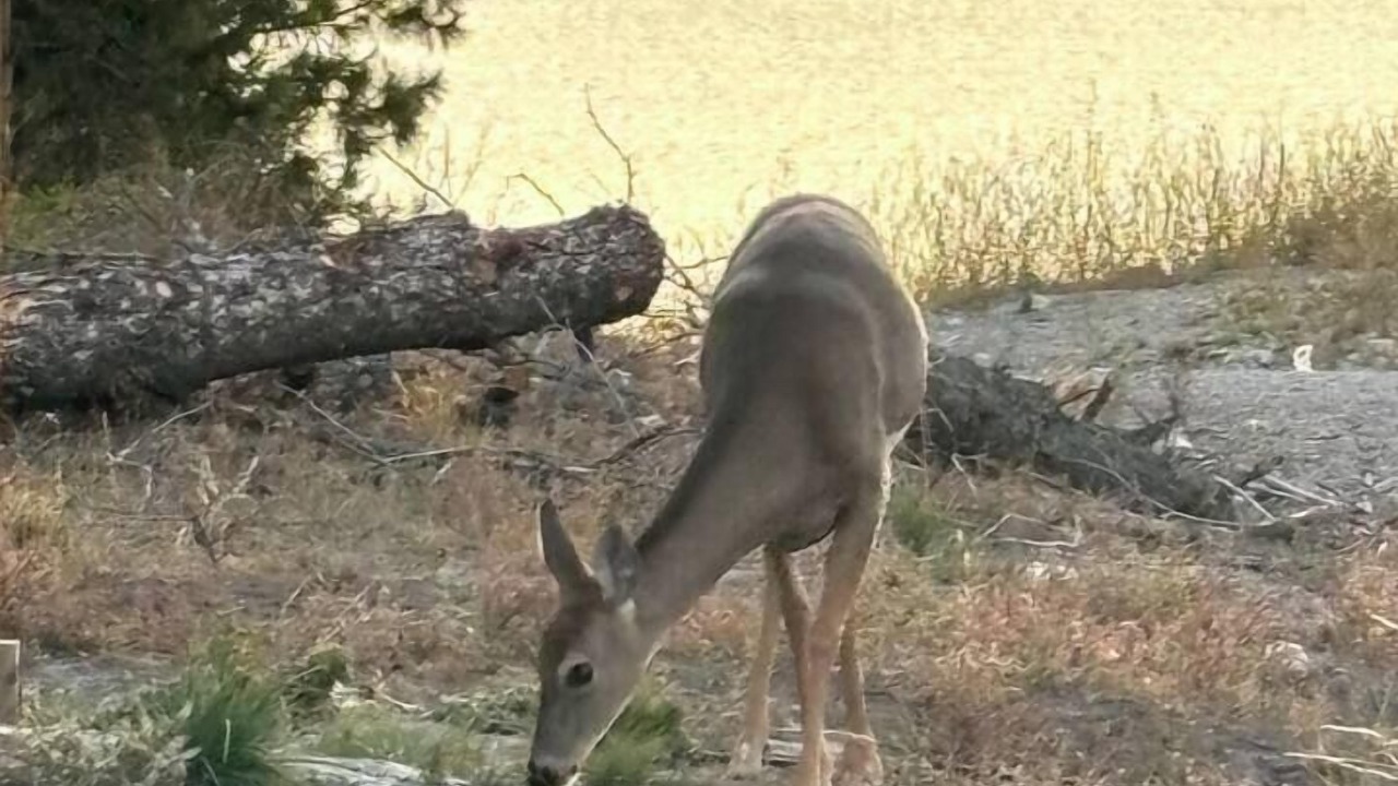 Photo of Others in Lakeside