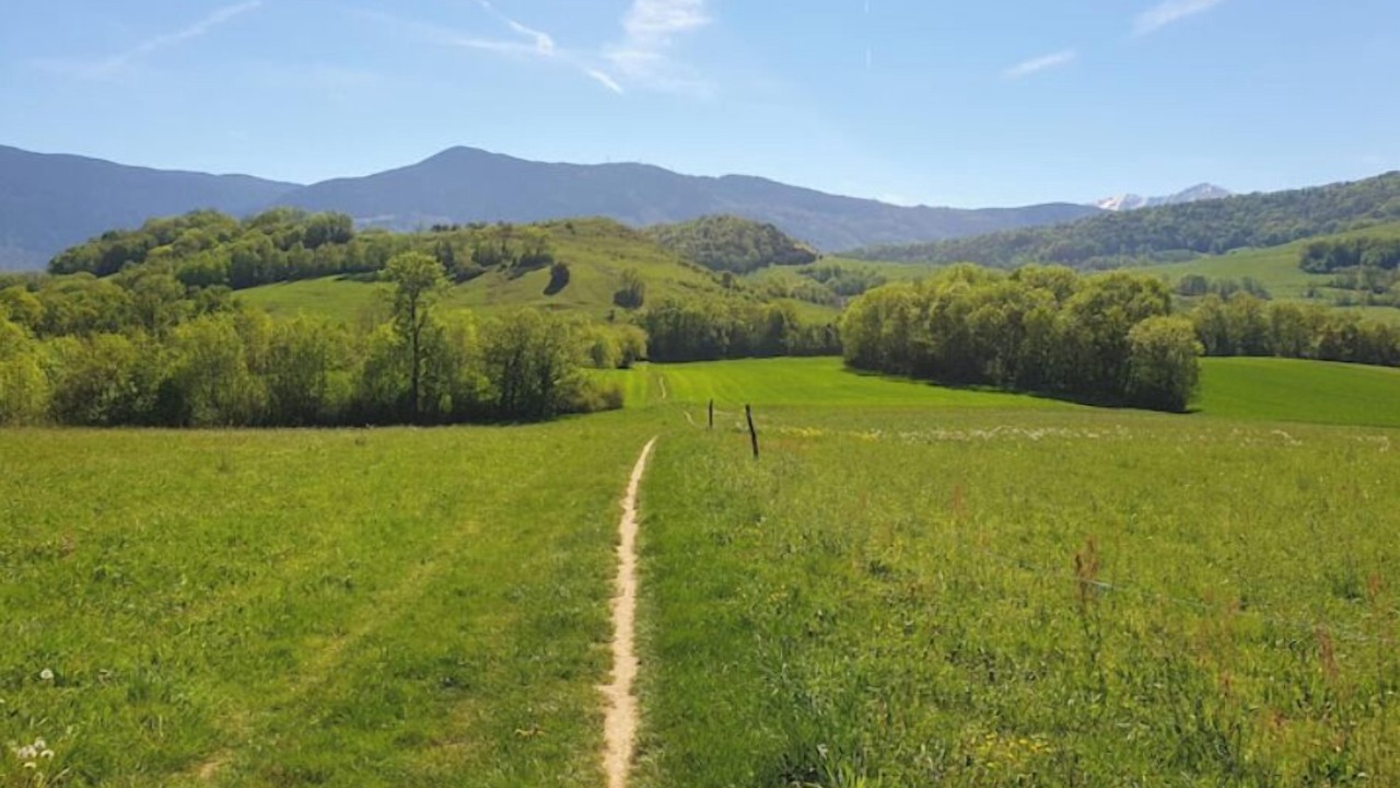 Photo of Others in Jarrie