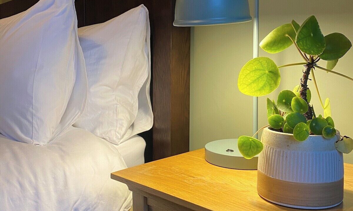 Photo of Bedroom in Newton Aycliffe