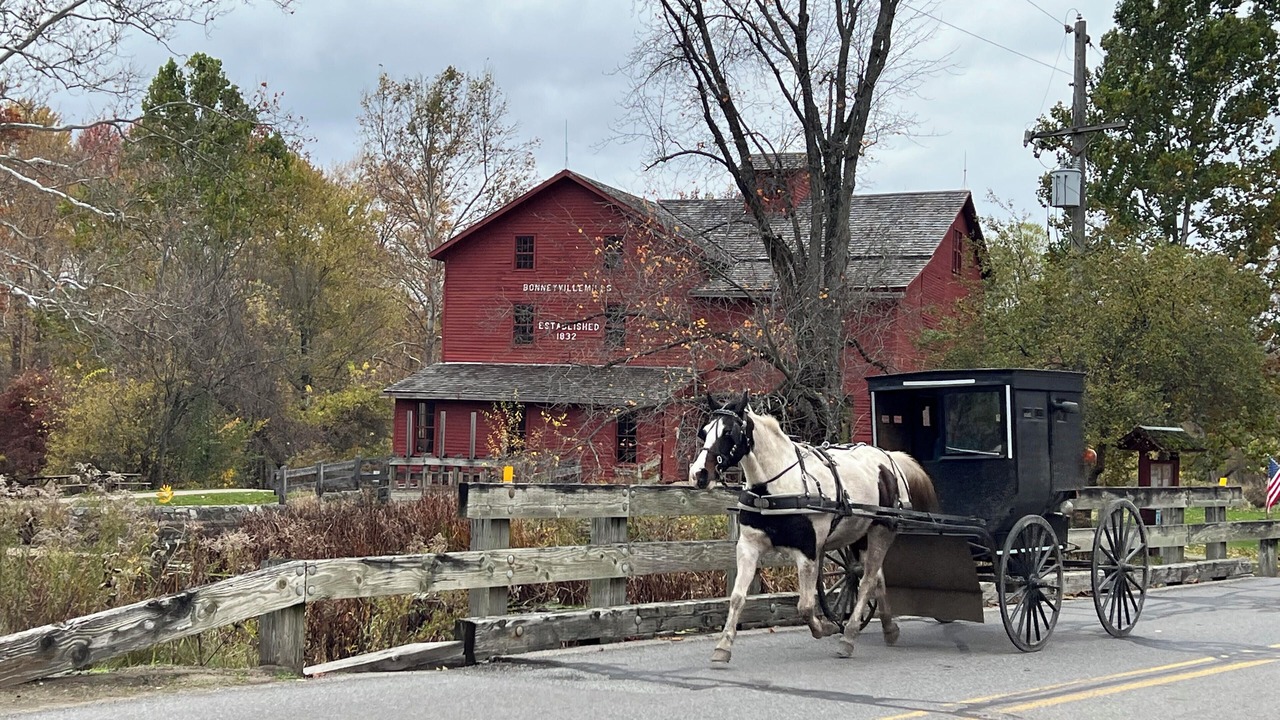 Photo of Others in Middlebury