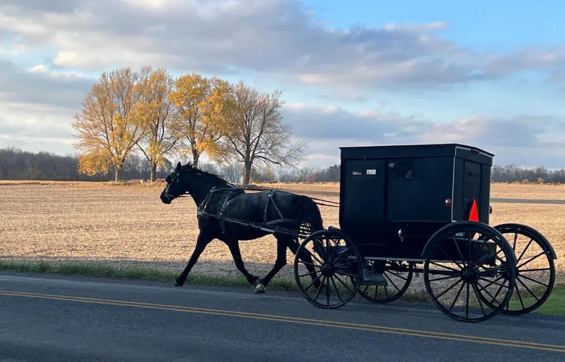 Photo of Others in Middlebury