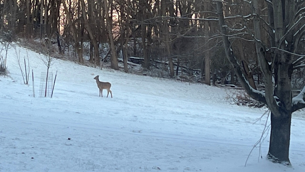 Photo of Others in Middlebury