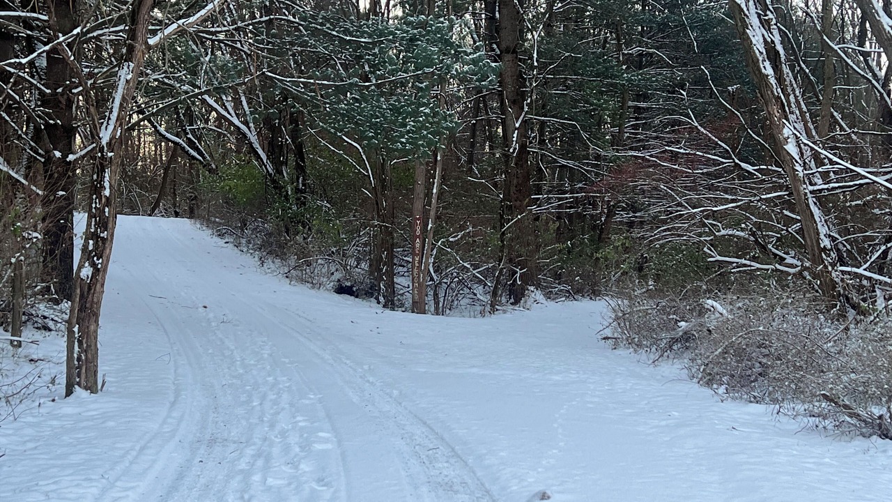 Photo of Others in Middlebury