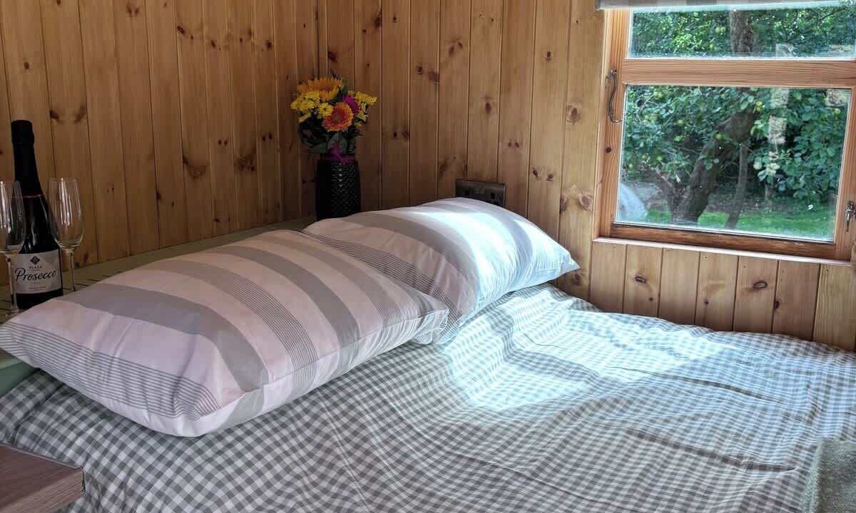 Photo of Bedroom in Milford Haven