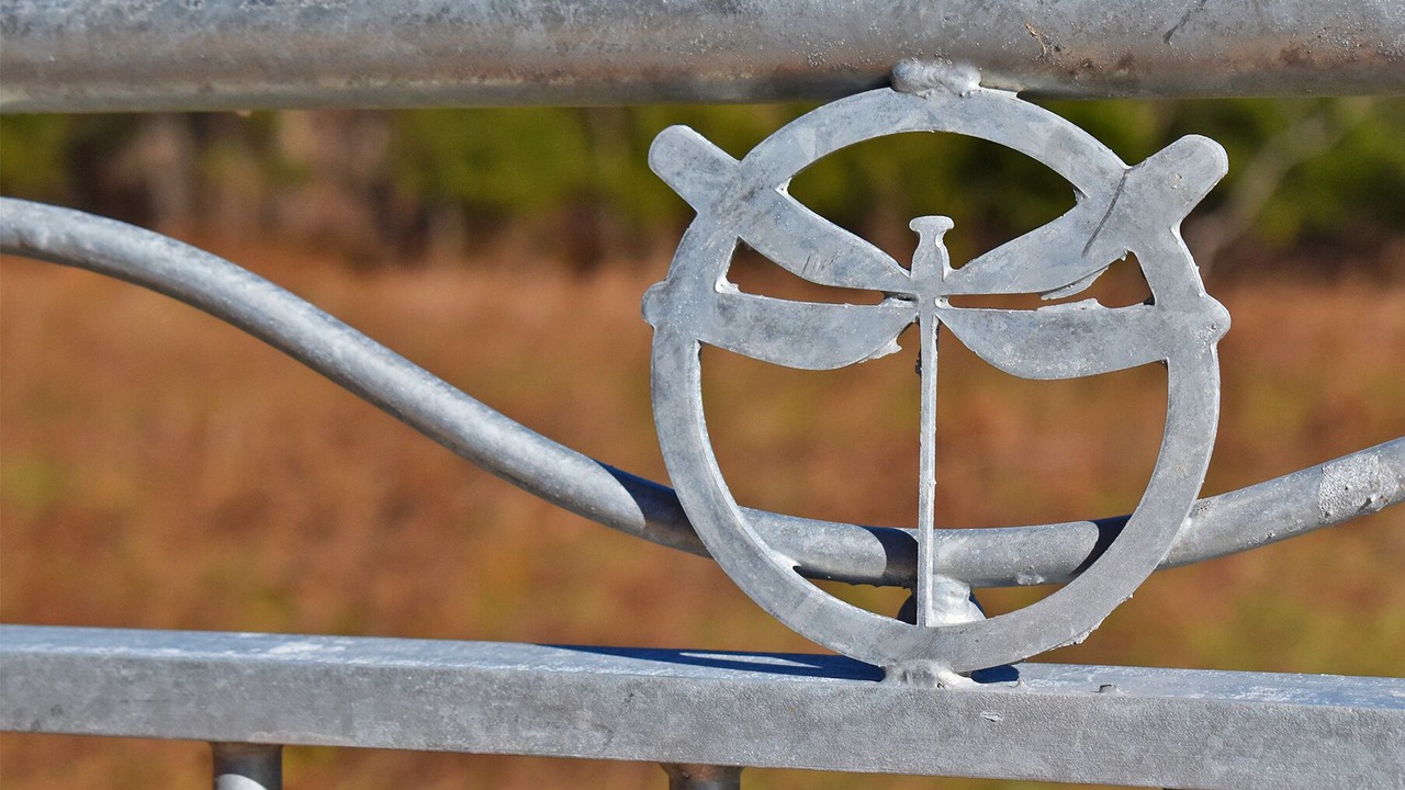 Photo of Outdoor in Black