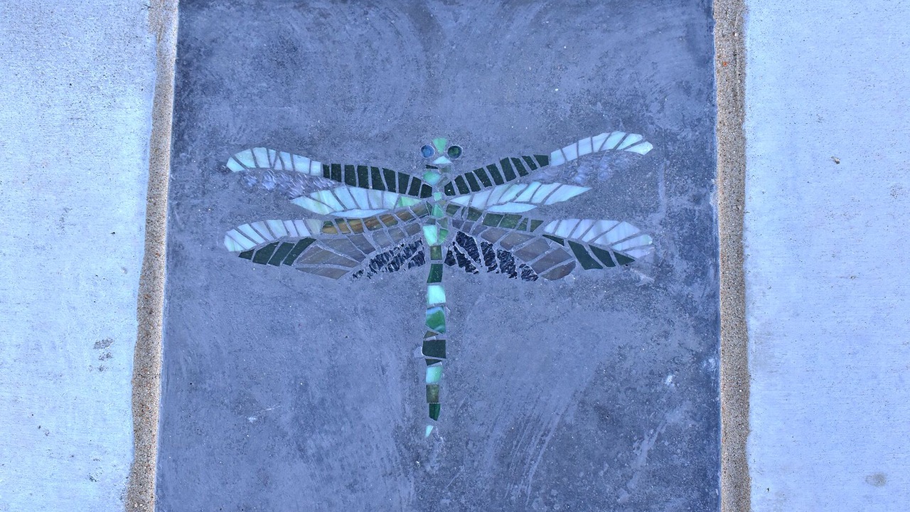 Photo of Outdoor in Black