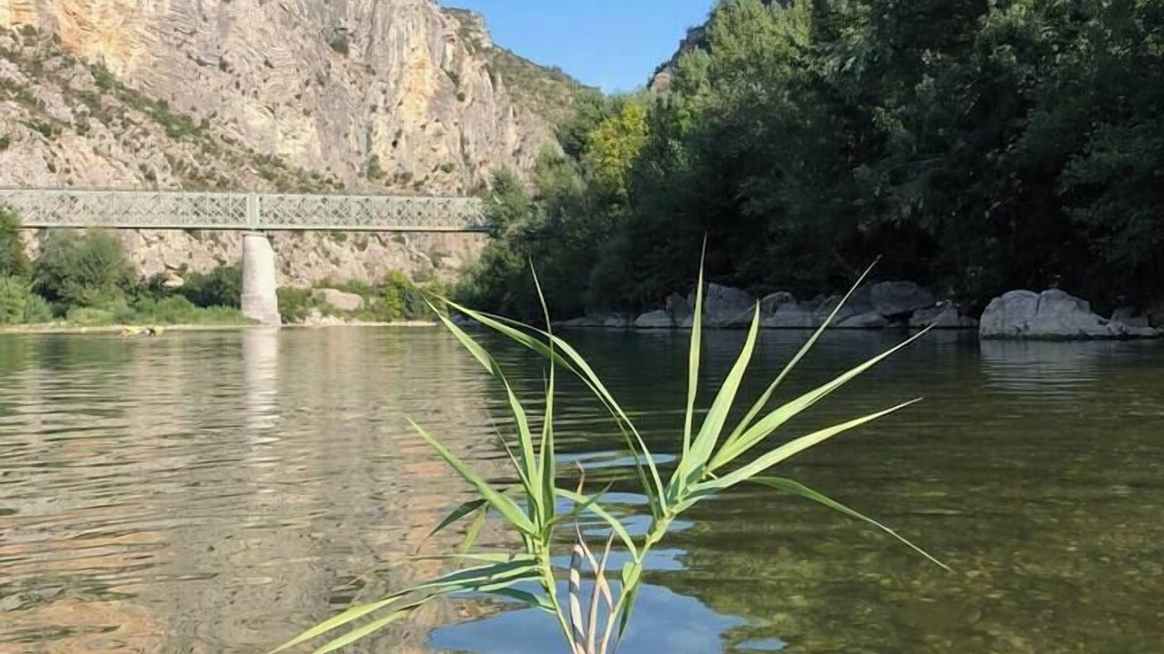 Photo of Others in Anduze