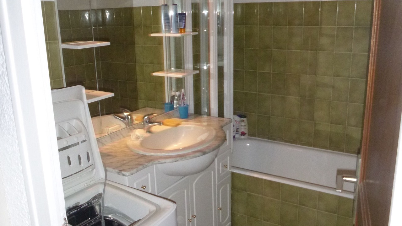 Photo of Bathroom in Bernex