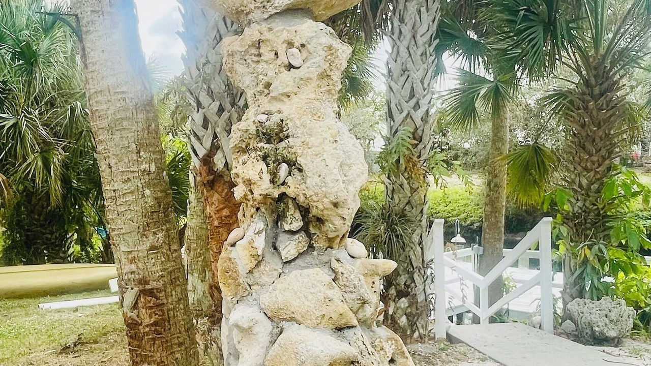 Photo of Outdoor in Bonita Springs