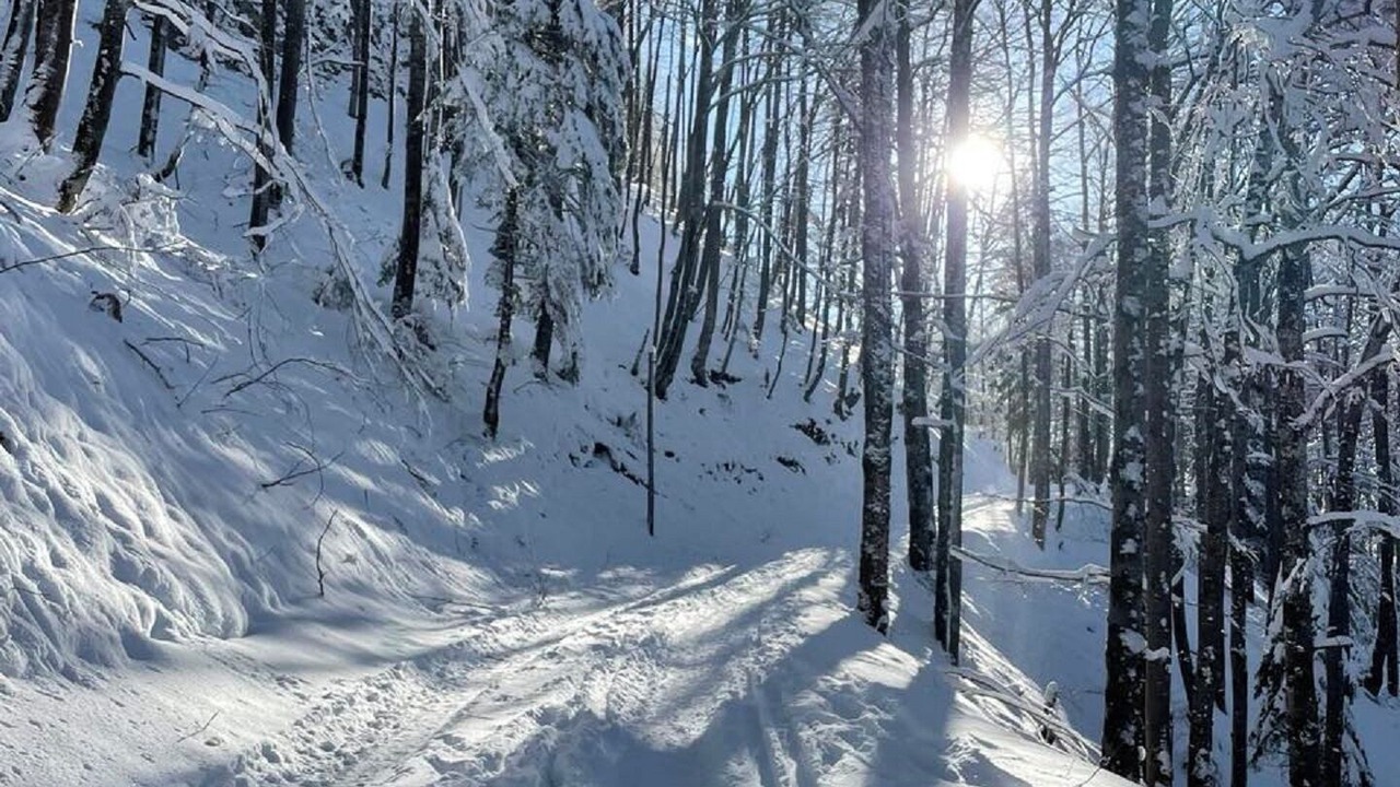 Photo of Others in Foncine-le-Bas