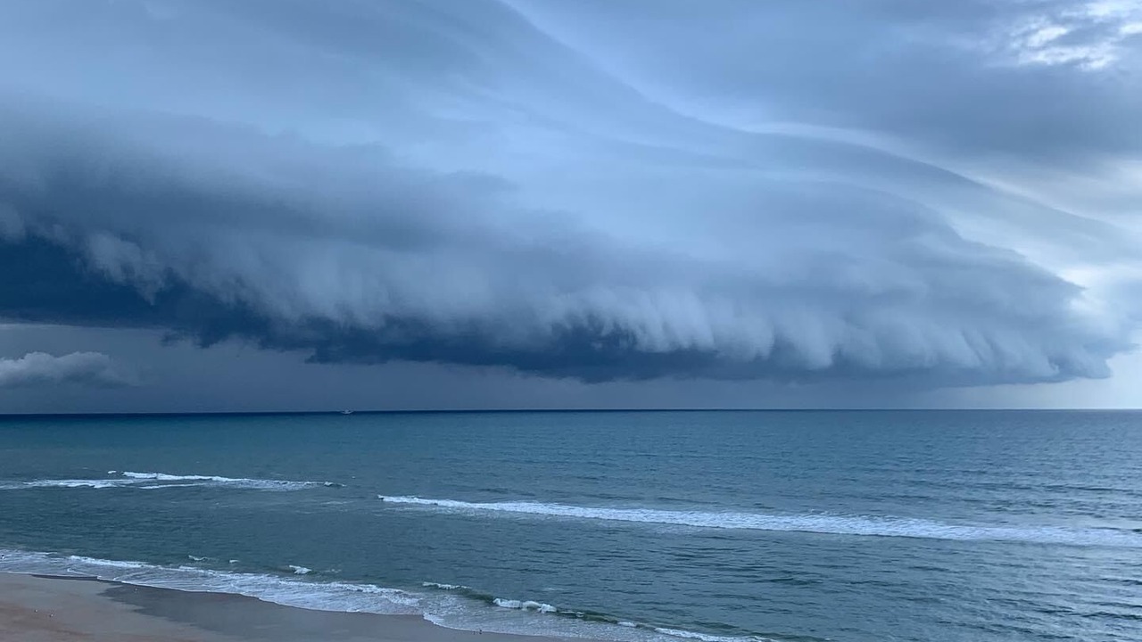 Photo of Others in Ormond-by-the-Sea