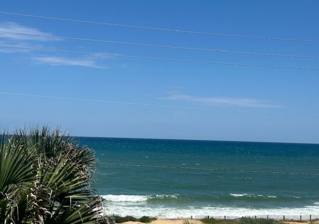 Photo of Others in Ormond-by-the-Sea