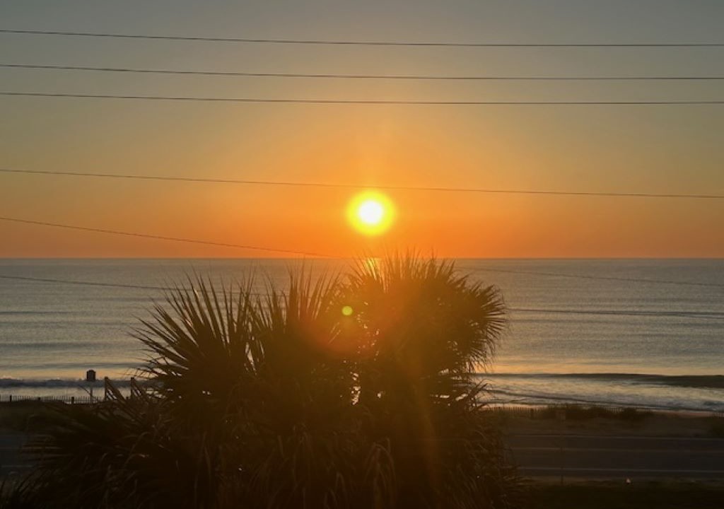 Photo of Others in Ormond-by-the-Sea