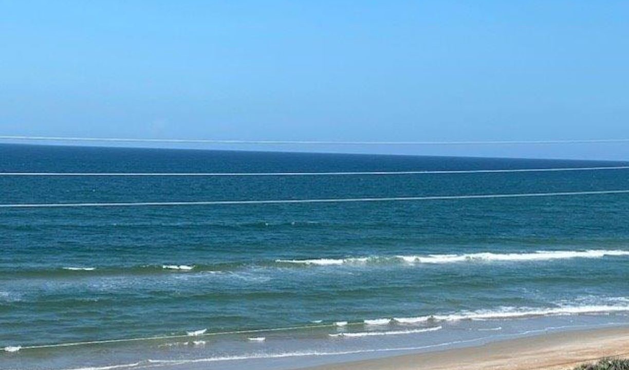 Photo of Others in Ormond-by-the-Sea