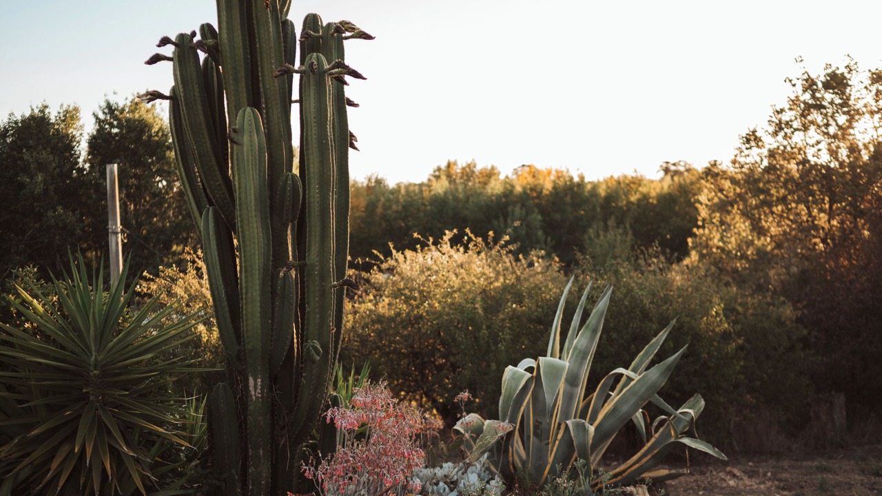 Photo of Others in Clunes