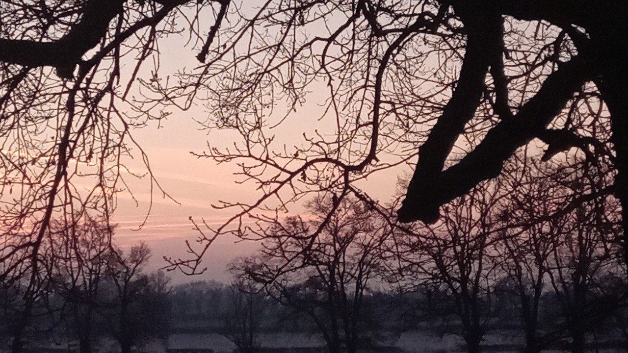 Photo of Others in Lurcy-Levis