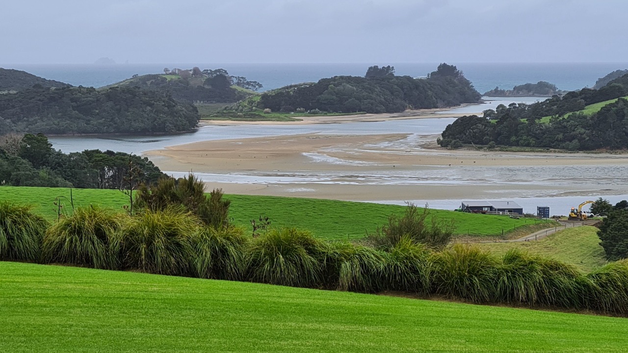 Photo of Others in Pataua South