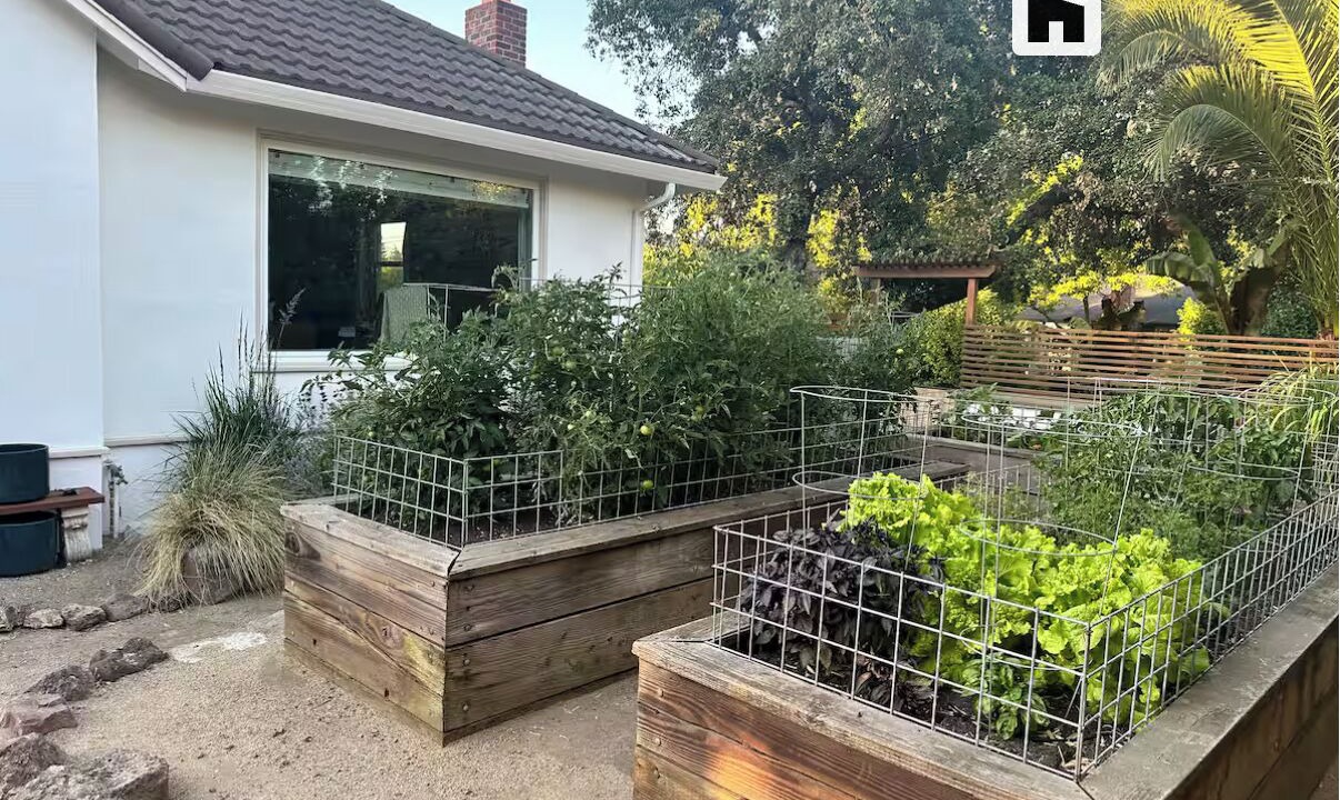 Photo of Outdoor in Napa