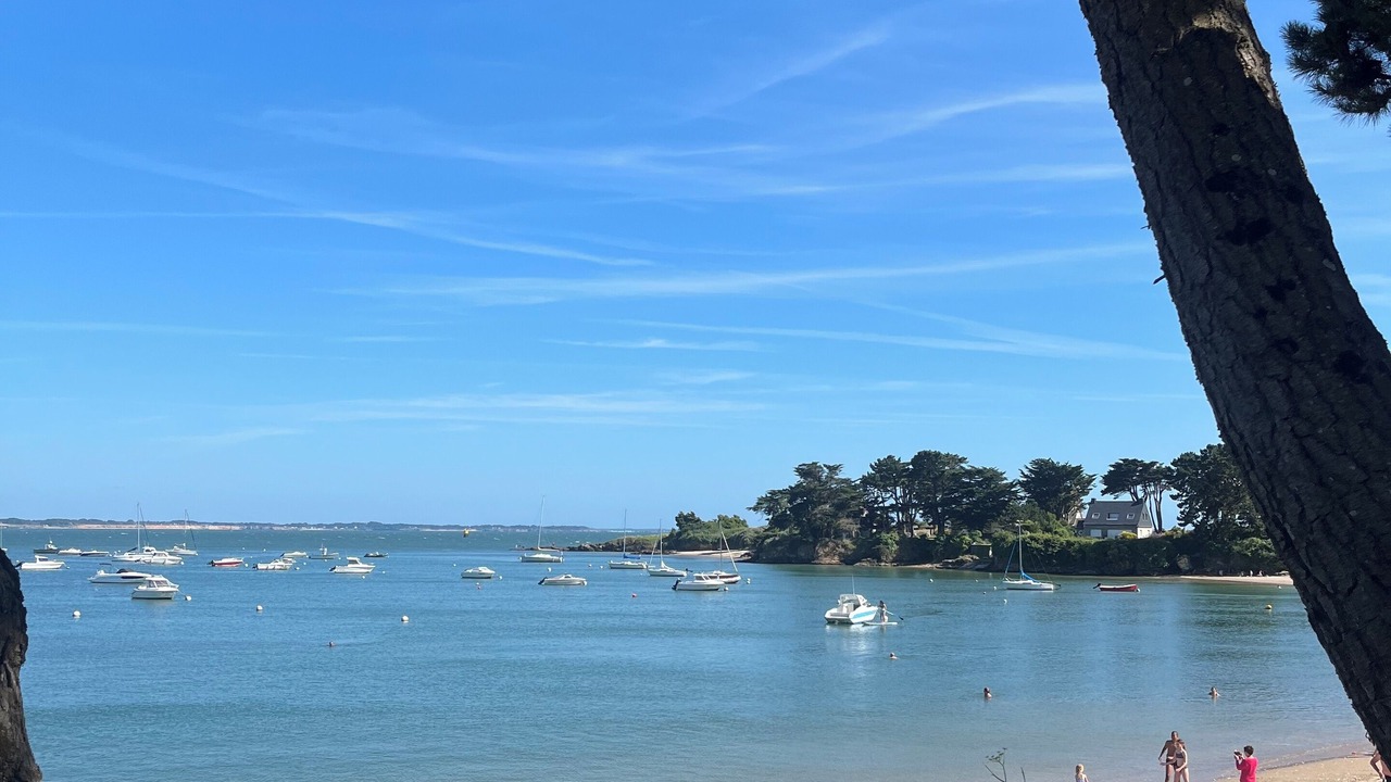 Photo of Others in Damgan