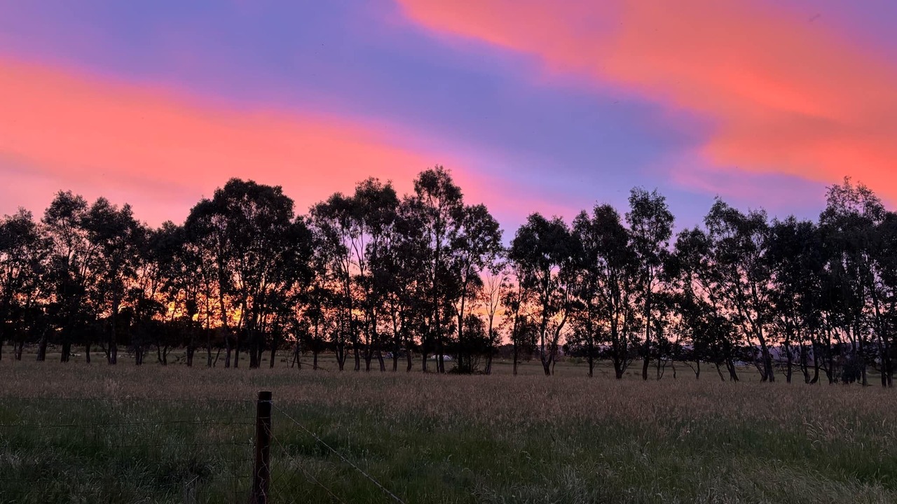 Photo of Others in Wooragee