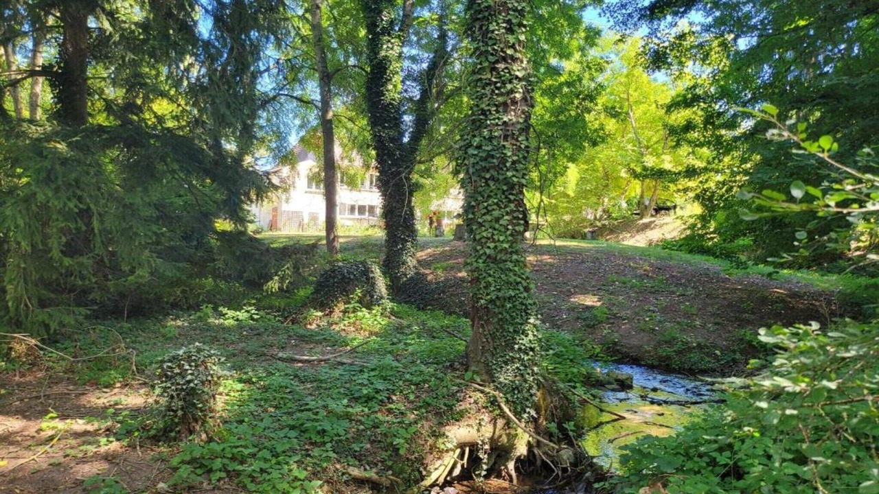 Photo of Others in Fargues-sur-Ourbise